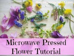 In a pinch, you can create your own microwave flower. Microwave Pressed Flower Tutorial Pressed Flowers Diy Pressed Flower Crafts Dried Flowers Diy