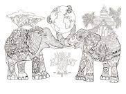 Check spelling or type a new query. Animali Disegni Da Colorare Per Adulti