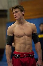 Gymnasts have very defined muscles and extremely low body fat levels. 260 Gymnastics Ideas Gymnastics Male Gymnast Olympics