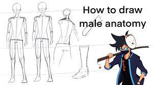 Check spelling or type a new query. Tutorial How To Draw Bodies For Anime Male Anatomy Youtube