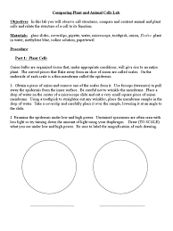 All cells come from existing cells, which carry chemical instructions to make new copies of themselves. Comparing Plant And Animal Cells Lab Worksheet Answers Animal West
