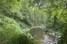 Best hikes and trails in Cabin John Regional Park