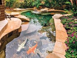 Maybe you would like to learn more about one of these? Koi Pond Ponds Backyard Fish Ponds Backyard Fish Pond
