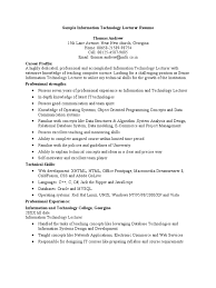 information technology lecturer resume