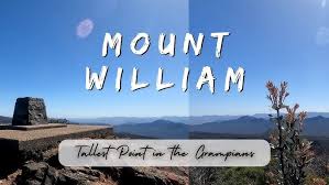 Mt William Summit
