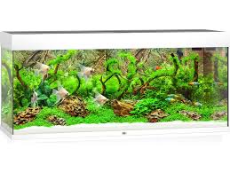 Kob Juwel Model Rio 240 Led Akvarie For Kun 2 459 96 Kr Spar 18 Akvarium Akvarier Armatur