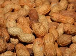 Check spelling or type a new query. Budidaya Kacang Tanah Agar Panen Banyak Website Resmi Desa Balingasal Kecamatan Padureso Kabupaten Kebumen