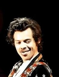 120 Harry Styles Concert ♥️ ideas