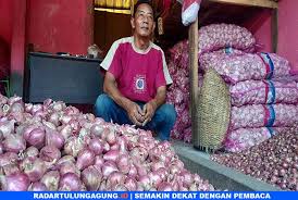 Petani bawang merah di kabupaten bantul dibantu sejumlah relawan membagikan sedikitnya satu kwintal bawang merah kepada para pengguna jalan. Harga Bawang Merah Dan Putih Sempat Jatuh Seminggu Di Pasar Ngemplak