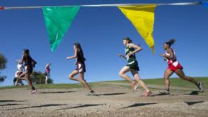 Arizona high school girls cross-country team rankings