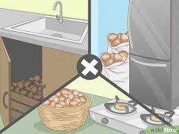 The colder you store the potato the browner the flesh is when cooked. How To Stop Potatoes From Sprouting In Storage 9 Steps
