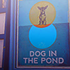 Dog jumping in the river. The Dog In The Pond Doginthepond Twitter