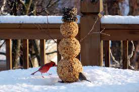 Seakettle Category Archive Craft Outdoor Christmas Tree Bird Seed Crafts Bird Crafts