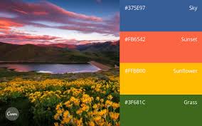 100 Brilliant Color Combinations And How To Apply Them To