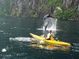 Rosco S Milford Kayaks Kayak Trip White Water Kayak Kayaking