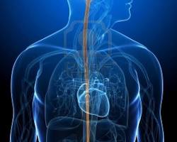 صورة جسم الإنسان في الرمزية