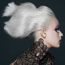 AHFA FINALIST: HAIR SHOT, PHILIP BARWICK