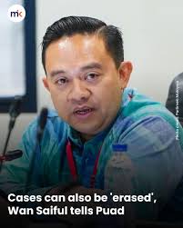 Cases can not only be found but also erased, Bersatu supreme council member  Wan Saiful Wan Jan said, basing it