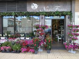 Natura Floristas