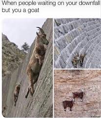 When People Waiting On Your Downfall But You Are A Goat Meme Memezila Com
