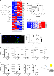 We did not find results for: Triacylglycerol Synthesis Enhances Macrophage Inflammatory Function Nature Communications