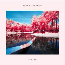 Zedd Liam Payne Get Low Liam Payne Zedd Music Covers