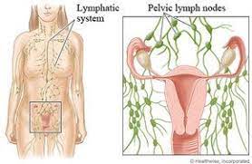 Swollen Lymph Nodes Lymph Nodes Swollen Lymph Nodes Lymphatic System