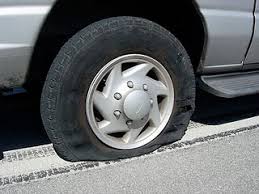 Humans have poor night vision compared to many animals, in part because the human eye lacks a tapetum lucidum. Jane S Domain It Was A Dark And Stormy Night