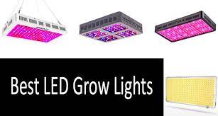 Choosing the best led ; Top 5 Best Led Grow Lights In 2021 From 70 To 300 Buyer S Guide