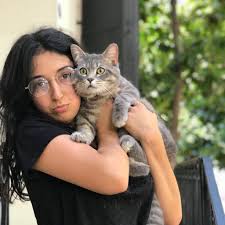 Sinem Koknar On Twitter Lutfen Paylasir Misiniz Kedim Efes Kayboldu Izmir Karabaglar Eski Camlik Bolgesi Ev Kedisi Sokakta Yasayamaz Lutfen Paylasip Yardimci Olur Musunuz Gorenlerin Bana Instagram Sinemkoknar Twitter Sinemkoknar