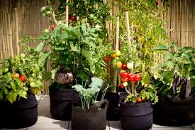 Pratique et peu encombrant le kit balcon est la solution pratique pour le jardinage urbain. Un Potager Sur Son Balcon Les Conseils De Florent Imperiale M6 Deco Fr