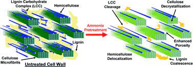 Maybe you would like to learn more about one of these? Multi Scale Visualization And Characterization Of Lignocellulosic Plant Cell Wall Deconstruction During Thermochemical Pretreatment Energy Environmental Science Rsc Publishing