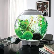 Creative Fish Bowl Ideas Little Piece Of Me Aquarium Design Cool Fish Tanks Diy Aquarium