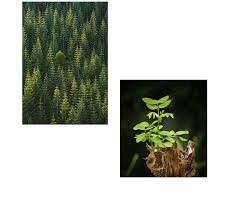 In dieser zeit können sie mit einer zustellung bzw. Wann Liefert Hermes Parcello Lieferzeiten Check Parcello