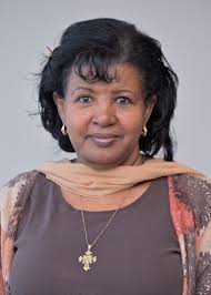 DS-I Africa 3rd Consortium Meeting