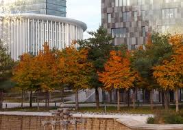 Prix De L Architecture Luxembourg Plants Home