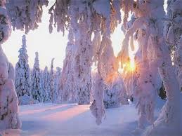 Winter Achtergronden Hd Wallpapers Winter Zonsondergang Achtergronden Winters Tafereel
