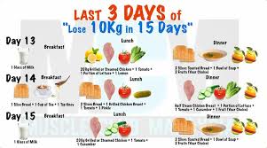 Amalan cara diet yang betul dan berkesan perlu konsisten. Cara Kurus Dan Hilang 10kg Dalam Masa 15 Hari Blog Sihatimerahjambu