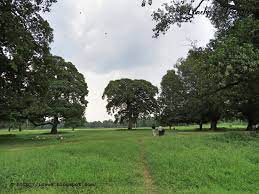 Visiting Gorer Math Kolkata Lonely Traveler Which problem would you like to work on? visiting gorer math kolkata lonely