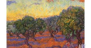 Grove Of Olive Trees 1889 Giclee Print Vincent Van Gogh Art Com Van Gogh Art Vincent Van Gogh Paintings Van Gogh Paintings