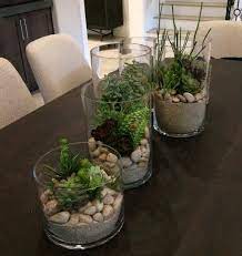 I've kept my plants for a year (at the beginning) in miracle grow organic potting soil before. Best Soil And Fertilizer For Cacti And Succulents Succulent Plant Care