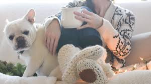 10 cutest baby booties free knitting patterns. 13 Cozy Slipper Knitting Patterns