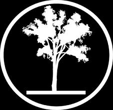 Our arborists can help you with tree removals, tree trimming, tree pruning as well as getting rid of that old stub on the property. Hillock Tree Care