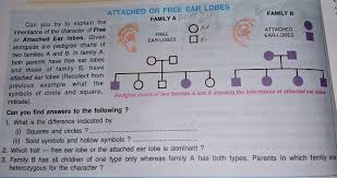 plz solve this can you try to explain the inheritance of the