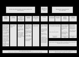 Je krijgt informatie over hoe je moet solliciteren, welke testen je moet afleggen. Belgique I