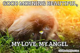 32 Good Morning Memes For Her Him Friends Funny Beautiful