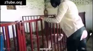 Bestiality Sex - Page 9 of 29 - zTube