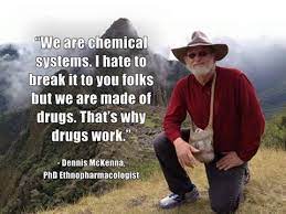 Dennis Mckenna Psychedelicquote Mckenna Psychedelics Psychedelic Quotes Inspirational Quotes Collection Mckenna