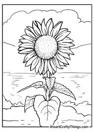 Sunflowers are one of the most beautiful flowers on earth! Sunflower Coloring Pages Updated 2021