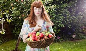 What is better than wandering out into the garden to pick your own lemons, apples, peaches etc.? How To Care For Fruit Trees In Autumn Express Co Uk
